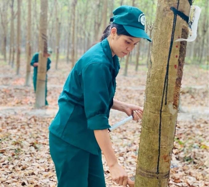 Tập đoàn Công nghiệp Cao su Việt Nam: Phát triển bền vững gắn với trách nhiệm xã hội